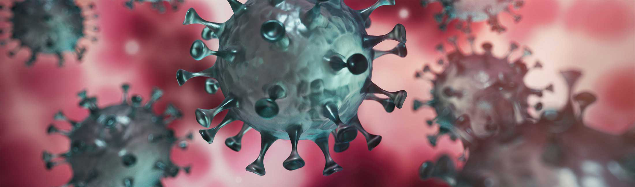 Coronavirus — SARS-CoV-2